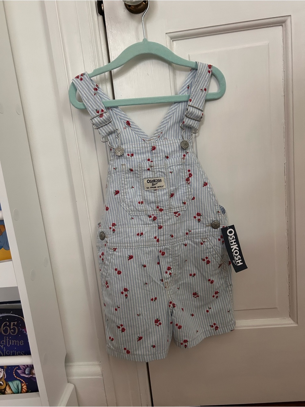 OshKosh B'gosh Light Blue & Red Floral Striped Overall